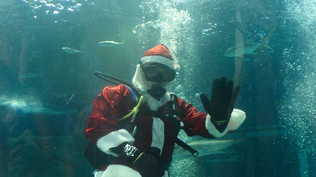 Natal com crianças tem Papai Noel no AquaRio e atividades no BioParque