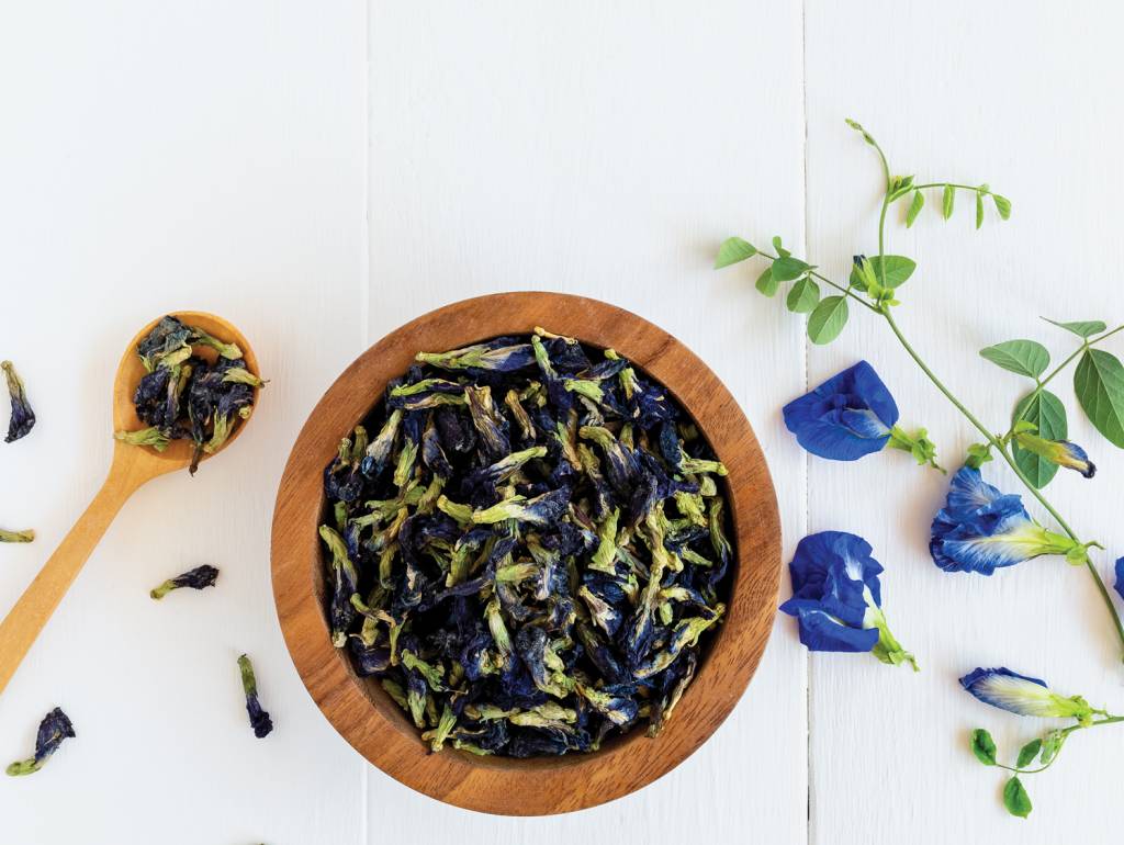 Afrodisíaco, chá de feijão borboleta está na moda