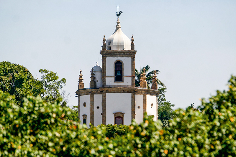 Igreja localizada entre árvores verdes