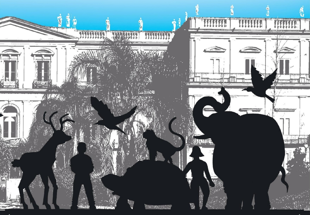 Macaco Tião inspira personagem de livro infantil sobre Museu Nacional