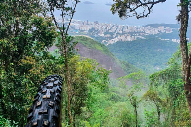Vista da praia em mirante na Mata Atlântica