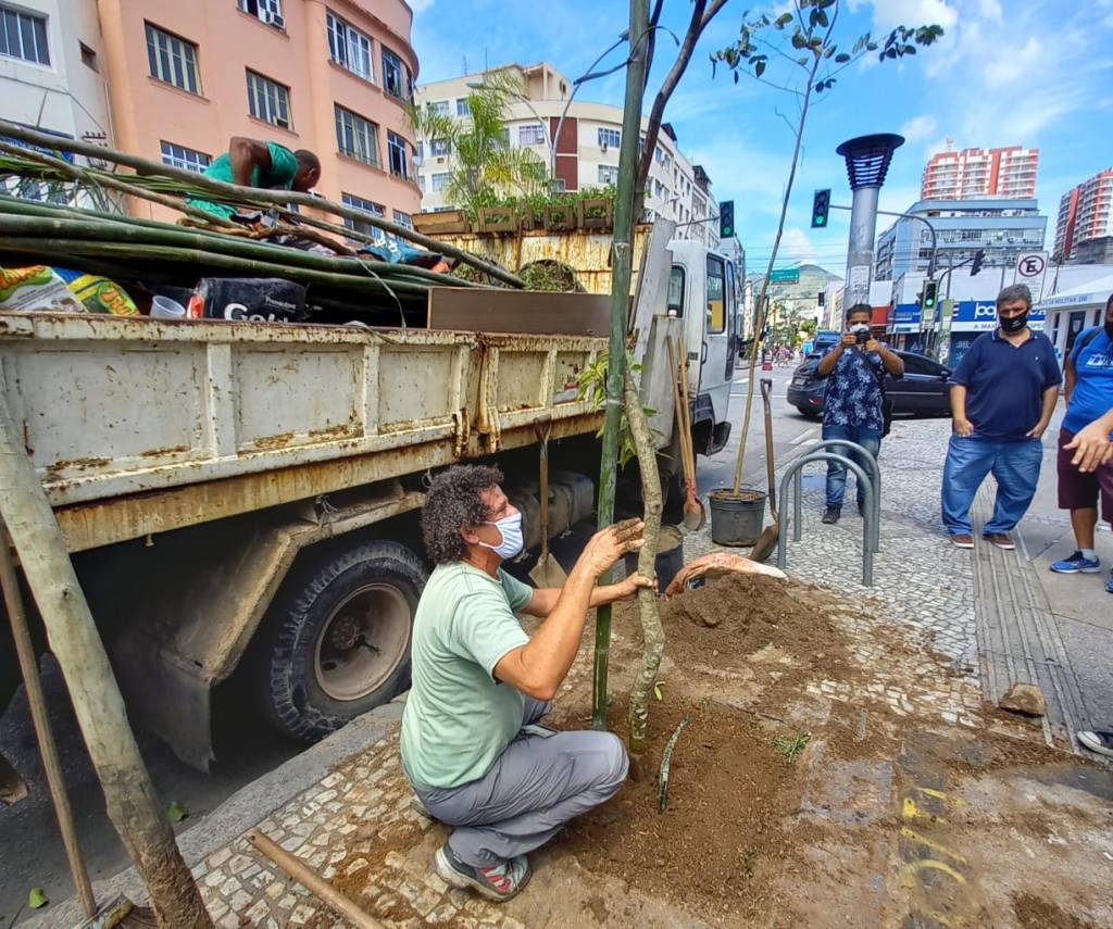 Mais de 2 000 mudas de arbustos e árvores são plantadas no Rio