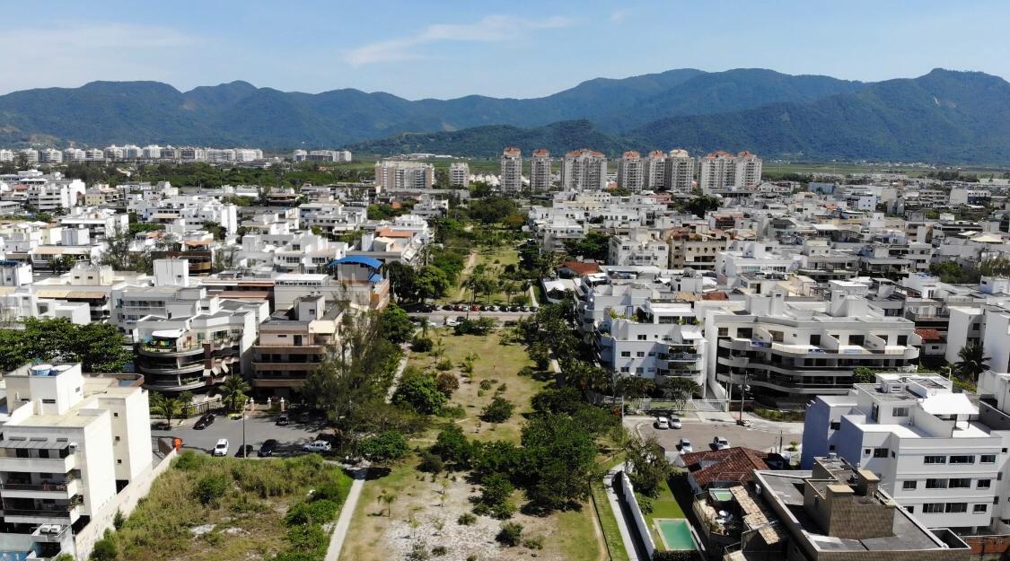 Vista superior de bosque