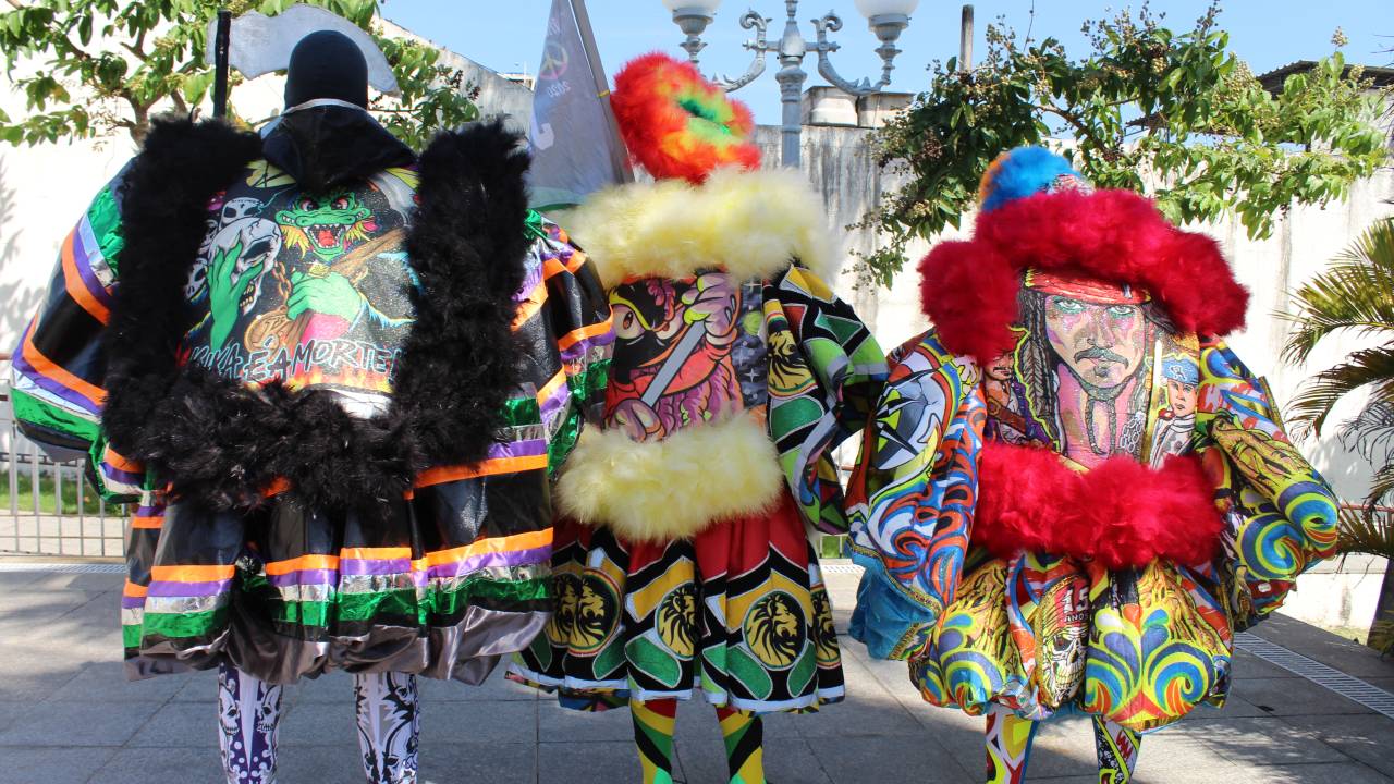 A imagem mostra um grupo de clóvis, os bate-bolas, de costas para a câmera