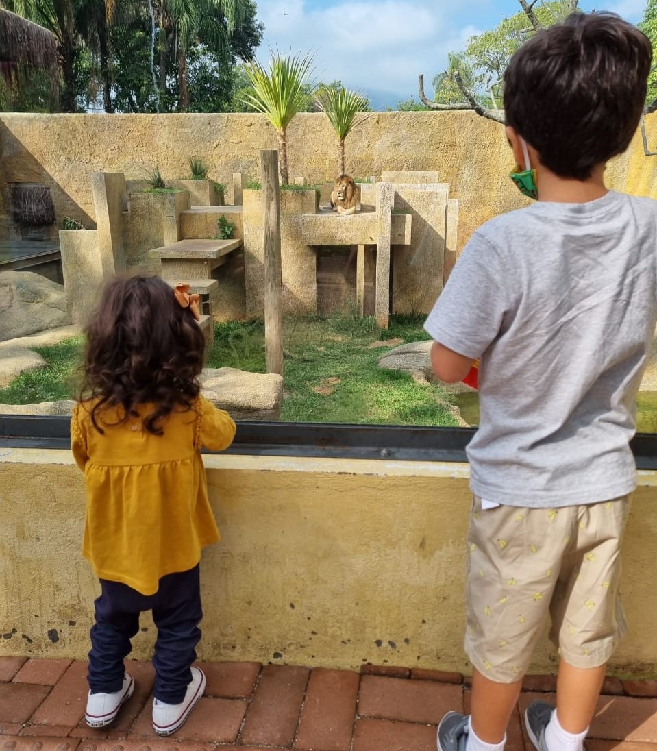 BioParque Rio: o que você precisa saber antes de ir ao novo zoológico