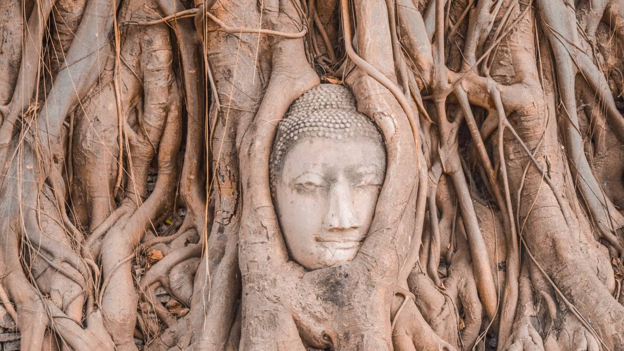 meditaçãoXansiedade