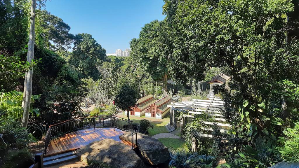 Jardim Botânico ganha mirante com vista privilegiada para o cactário