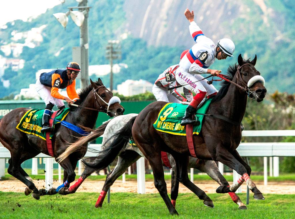Façam suas apostas: Jockey recebe Grande Prêmio Brasil de Turfe