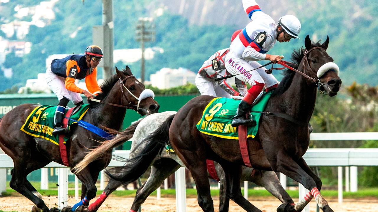 Dois jóqueis e seus cavalos na pista