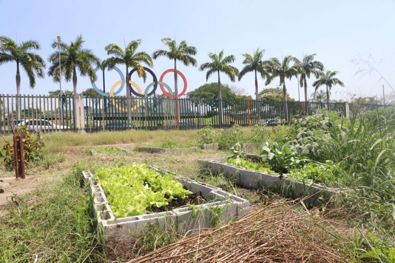 Orgulho carioca: a maior horta urbana do mundo será aqui
