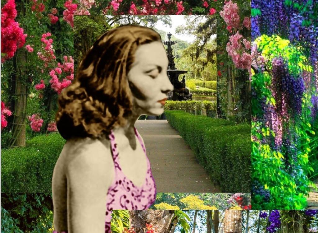 Exposição revisita vida e obra de Clarice Lispector pelo centenário da escritora