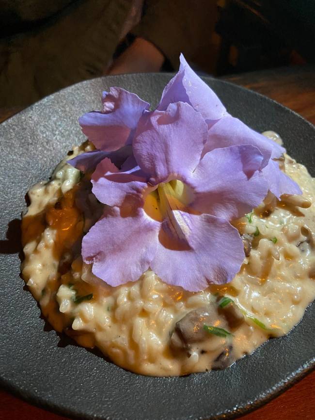 O risoto com cogumelos da floresta e PANc, do Pindorama