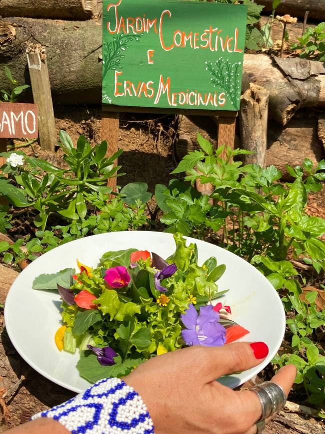 Salada colhida no Jardim Comestível da Casa Luz