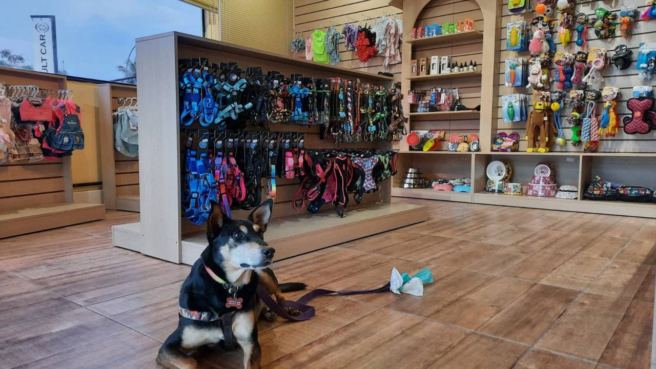 Padaria Pet: novidade para animais de estimação em dose dupla na Barra