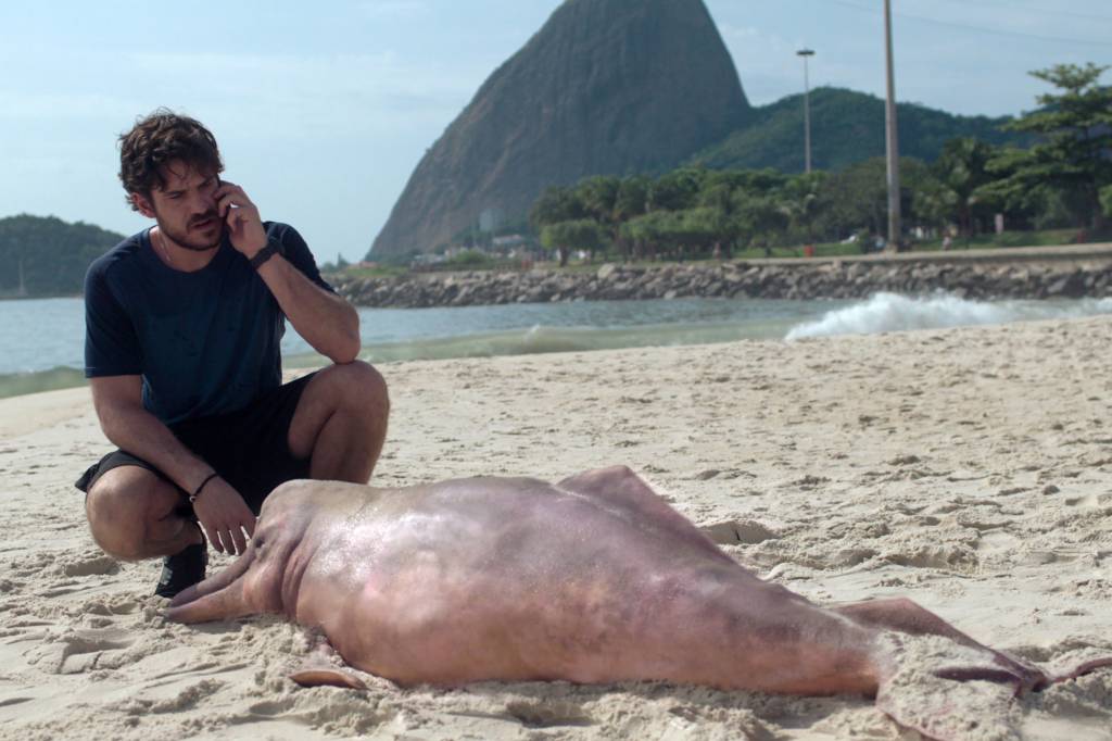 INVISIBLECITY_103_Unit_00161200 Foto mostra homem em praia olhando um boto cor de rosa morto