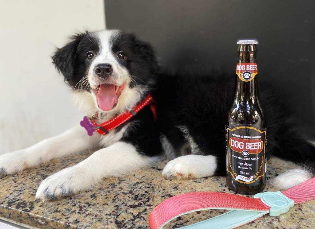 Bom pra cachorro: spa, padaria, cerveja e mais mimos ao alcance dos pets