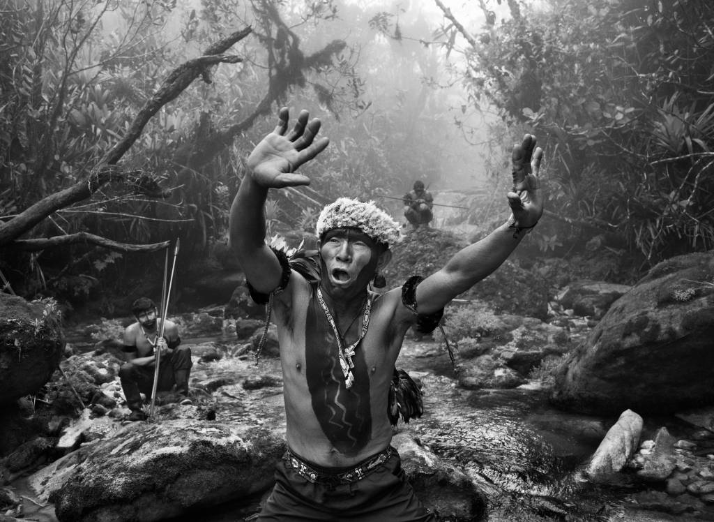 Museu do Amanhã retoma gratuidade às terças e traz mostra de Sebastião Salgado