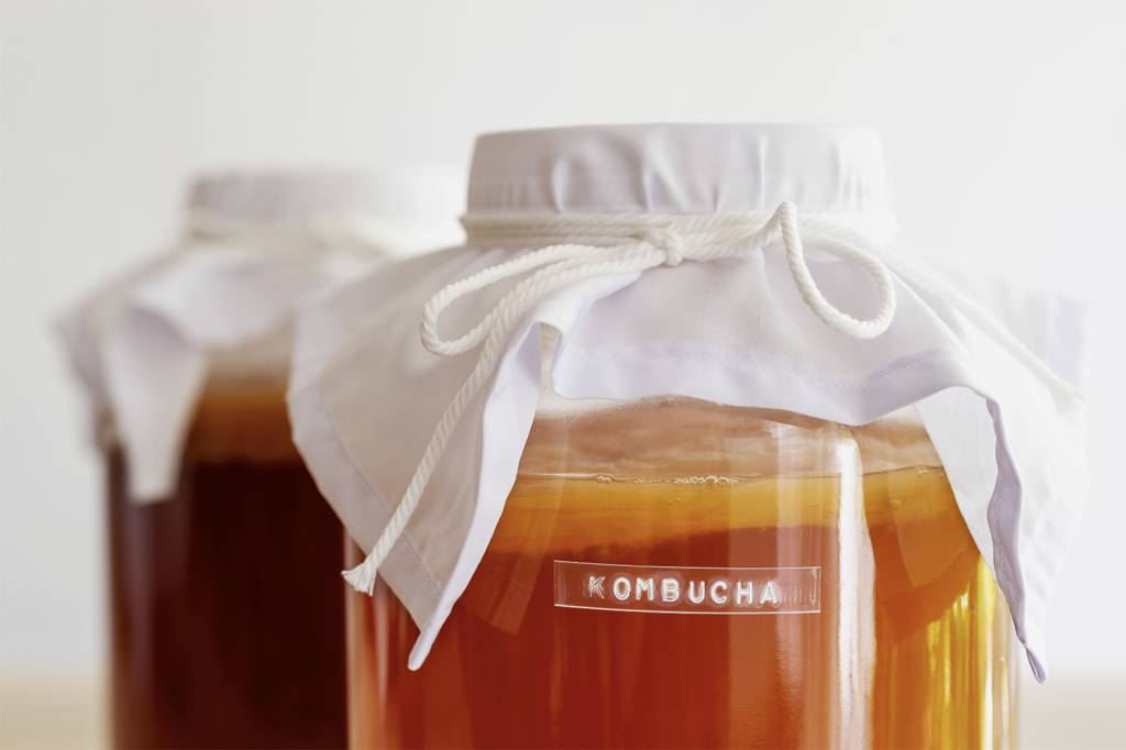 Marca lança growlers de kombucha com preço mais acessível no Rio