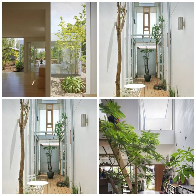 Onda Verde As imagens mostram ambientes com claraboias e aberturas que facilitam a entrada de luz e ventilação natural.
