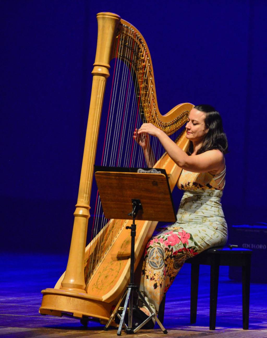 RioHarpFestival vai reunir 150 músicos de vinte países de 1 a 31 de julho