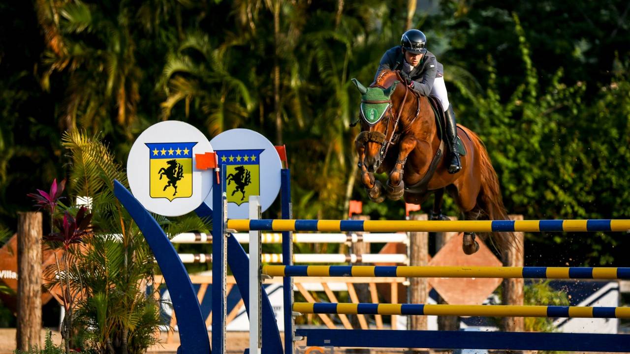 Foto mostra cavaleiro de hipismo em cima de cavalo