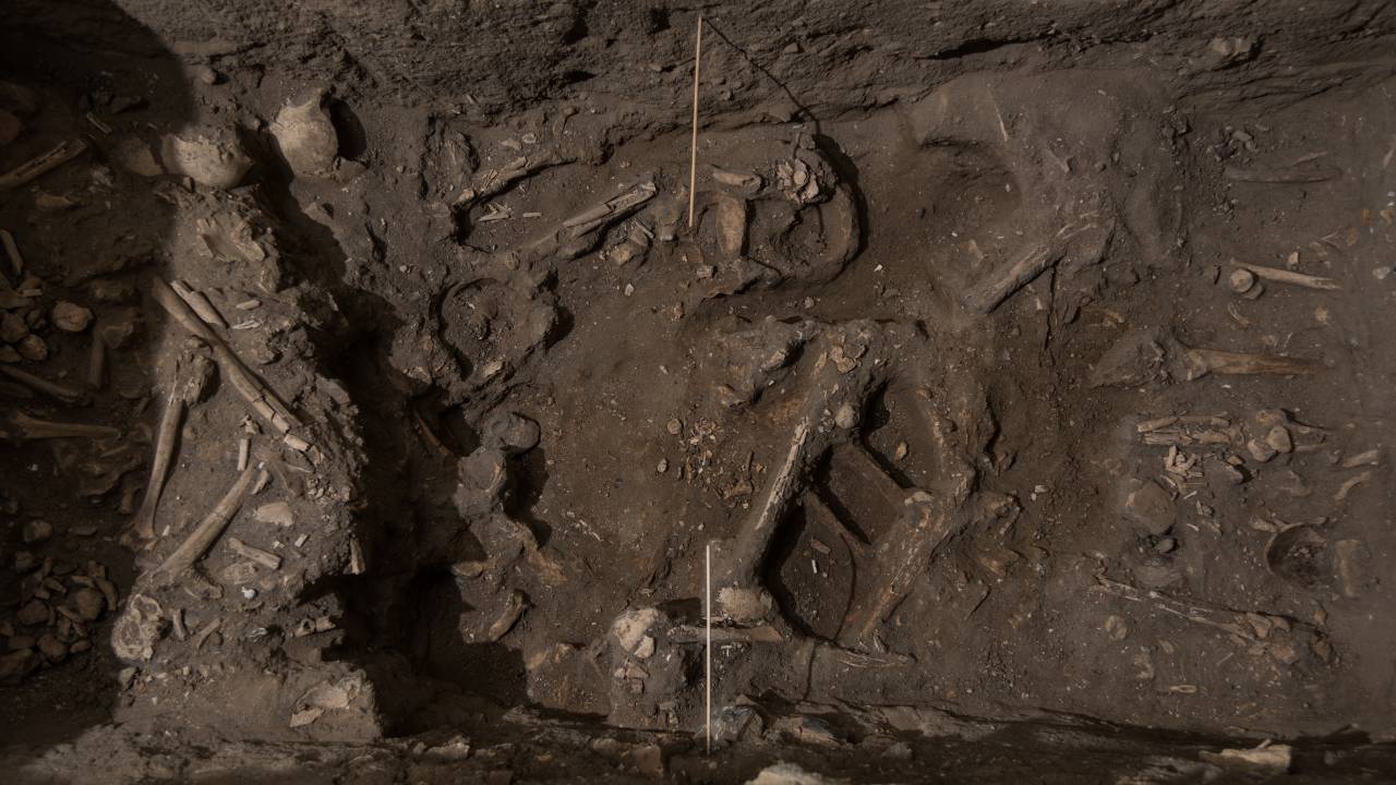 Ossada encontrada nas escavações no IPN