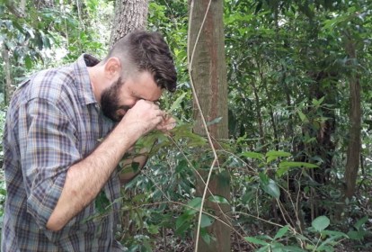 Levantamento mostra as espécies da fauna e da flora ameaçadas de extinção no Rio