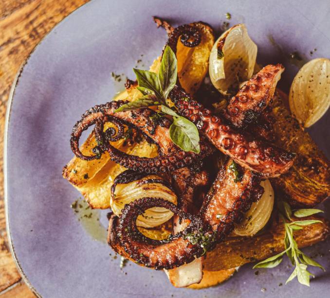 Italianos: prato de polvo da Pici Trattoria, do grupo 14zero3, que tem novidades para o fim do ano Italianos: prato de polvo da Pici Trattoria, do grupo 14zero3, que tem novidades para o fim do ano