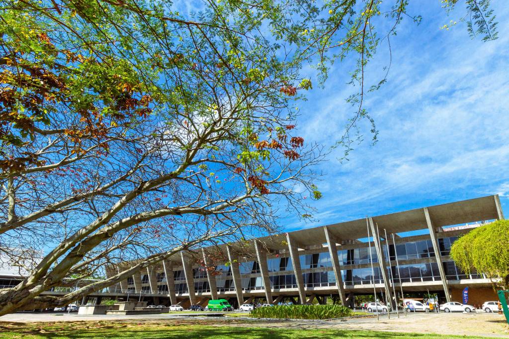 MAM Rio terá programação gratuita nos jardins aos sábados