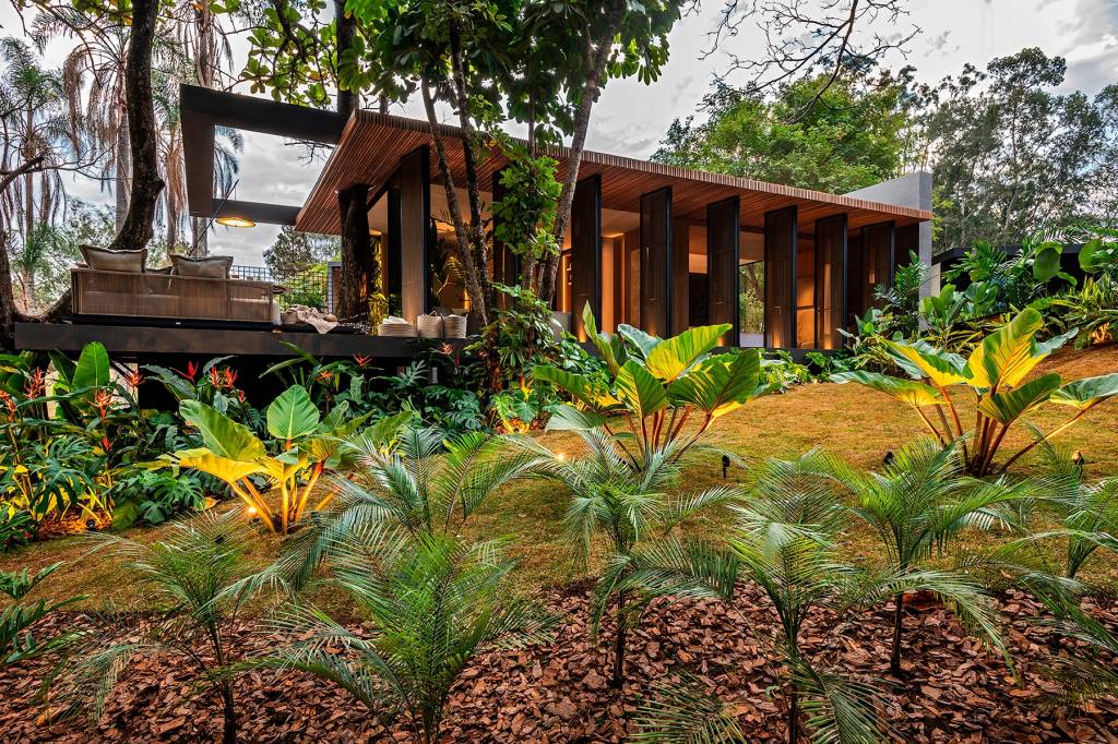 Jardim Fleury Paisagismo - Origens. CASACOR Minas Gerais 2022.