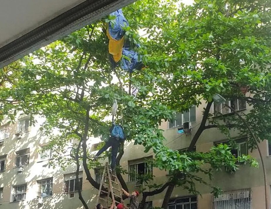 Paraquedistas trapalhões: militares caem treinando para o 7 de setembro