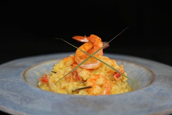risoto-capim-santo restaurante pousada Triboju: risoto de camarão com capim santo