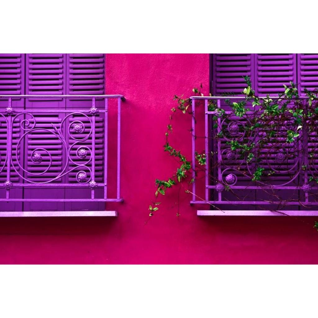 Abram-alas para a cor de 2023: Viva Magenta