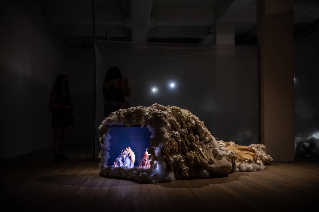 Fantasia de carnaval