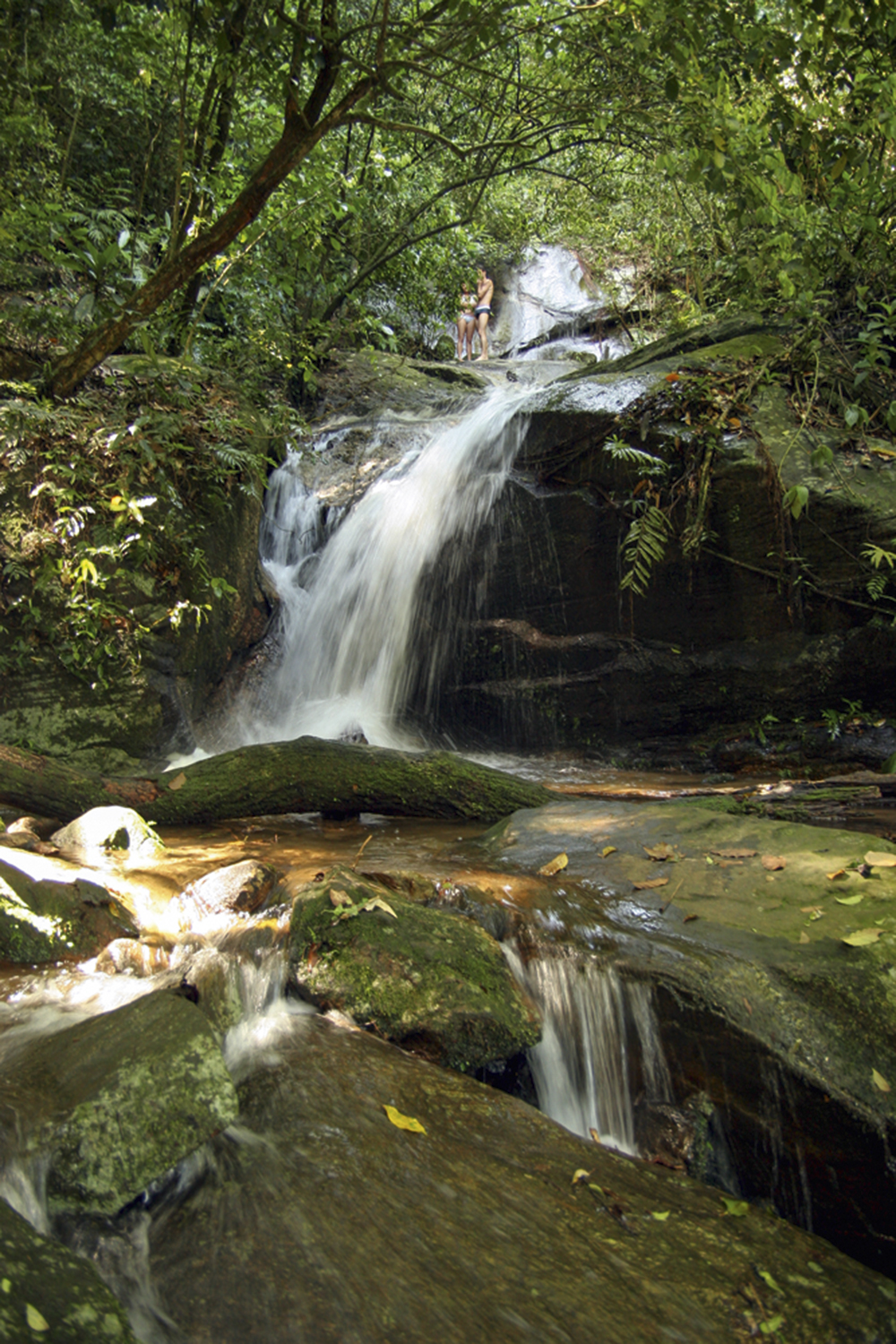 Ricardo-Zerrener-Riotur.jpg Parque Nacional da Tijuca