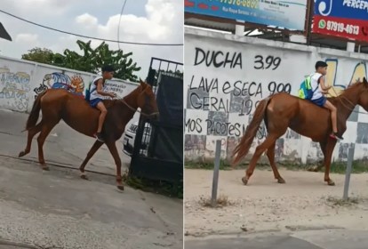 Foto mostra menino em cima de cavalo