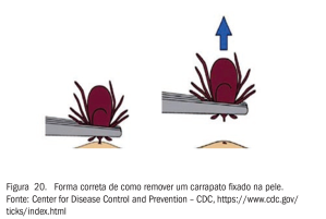 www.cevs.rs.gov.br/upload/arquivos/201909/24081723-2018-guia-carrapatos.pdf