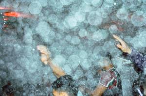 Flu – banho de pó de arroz – Foto de João Müller Moura Torcedores do Flu festeja vitória, com pós de arroz