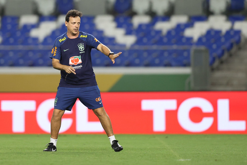 Os coelhos que Diniz terá de tirar da cartola para reacender a seleção