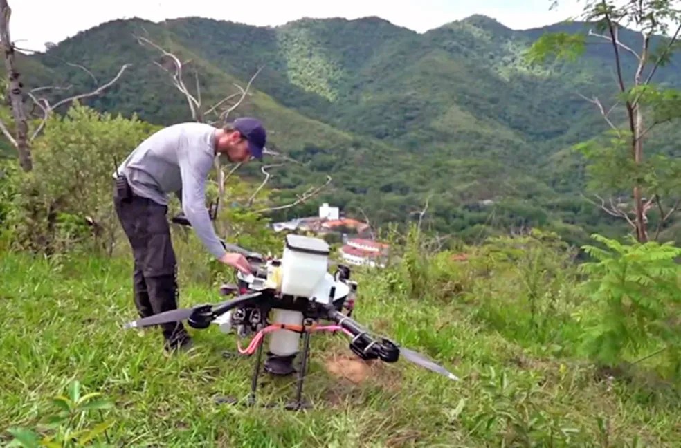 Plantio de árvores e alertas: como o Rio se prepara para amenizar o calor