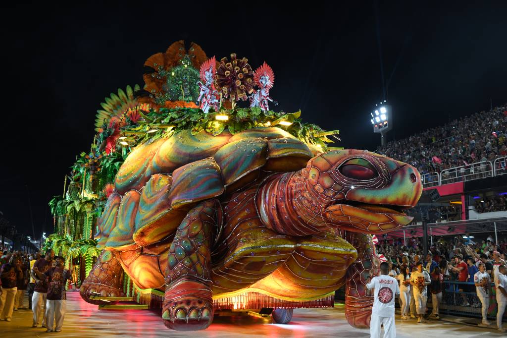 Após chancela de Leonardo DiCaprio, samba do Salgueiro levanta a Sapucaí