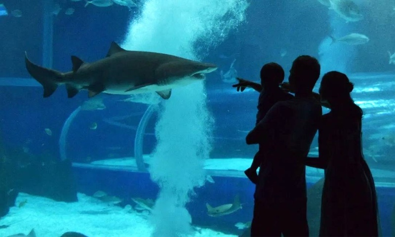 AquaRio terá visita para pessoas com Transtorno do Espectro Autista