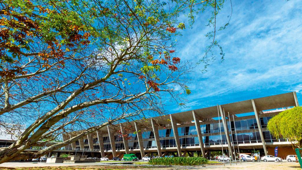 Por que o MAM Rio está proibido de promover eventos com música