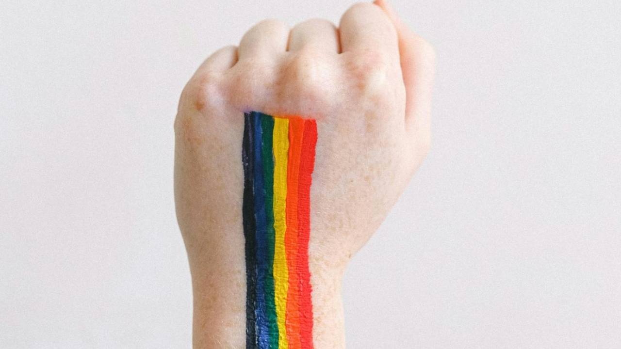 Levantamento aponta as principais dificuldades das ONGs LGBTQIA+ no Brasil