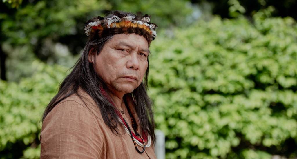 15 programas grátis do fim de semana, de feira do livro a mostra de filmes