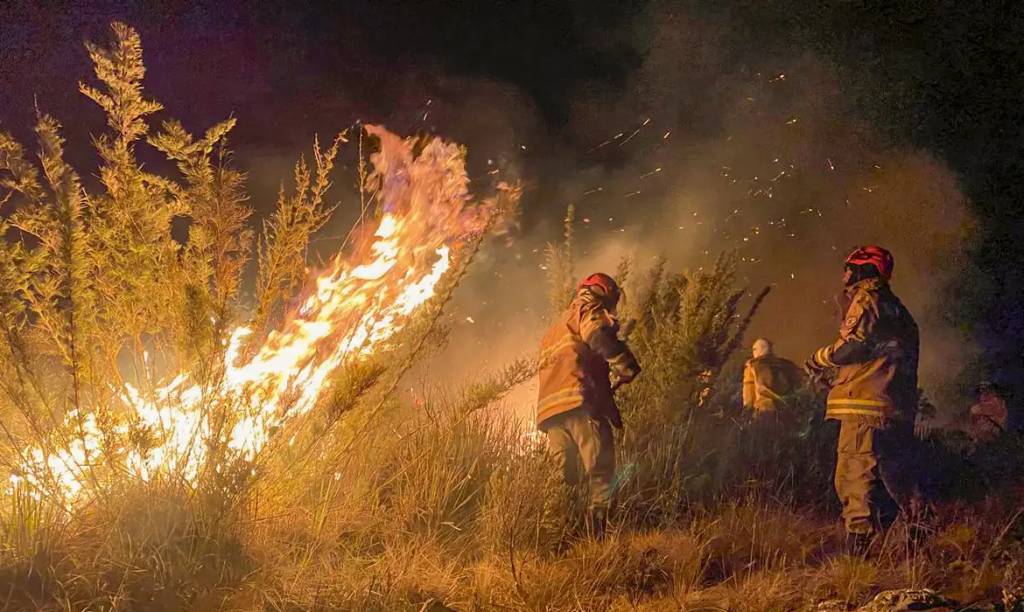 Incêndios florestais crescem 370% por causa da onda de calor