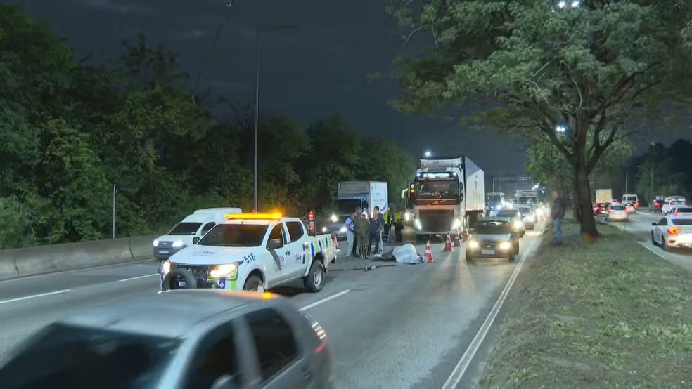 Égua morre atropelada na Avenida Brasil após fugir de quartel do Exército