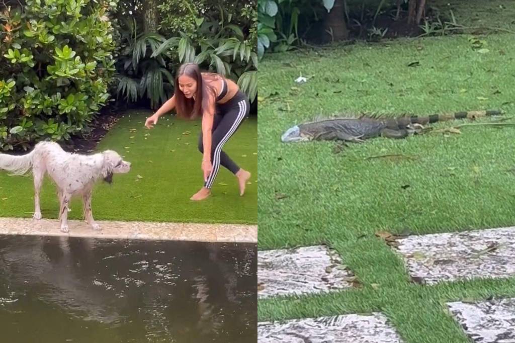 Após furacão Milton, Anitta recebe ‘visita’ inesperada em piscina de mansão