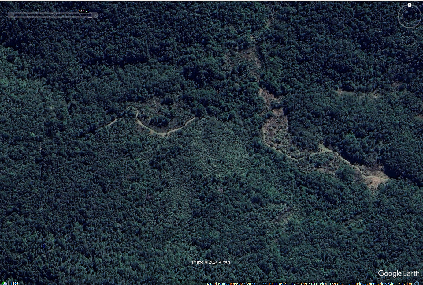 Rio é o único estado brasileiro que aumentou vegetação nativa em 40 anos