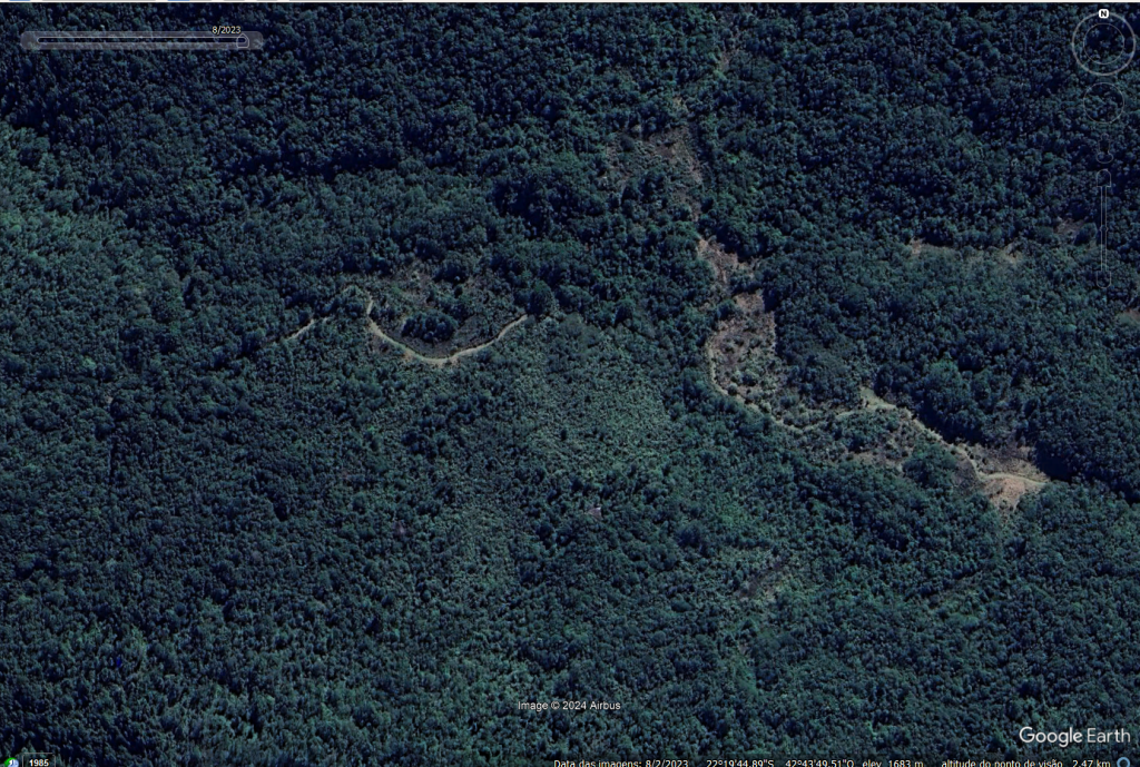 Rio é o único estado brasileiro que aumentou vegetação nativa em 40 anos